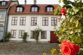 Kattrumpans B&B