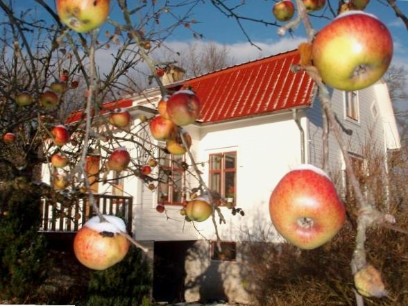 Mellangården i Äpplerum