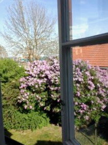 Tullhamnens B&B