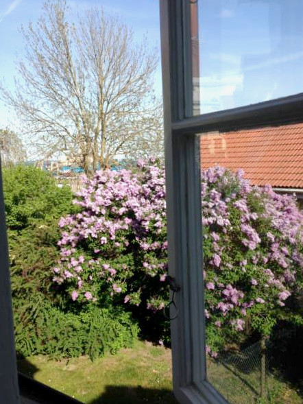 Tullhamnens B&B